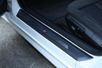 DOOR SEAL PLATE PANEL