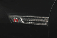 FENDER-EMBLEM PANELS