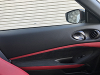 DOOR LINING PANEL