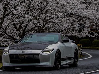 FRONT UNDER SPOILER for GENUINE