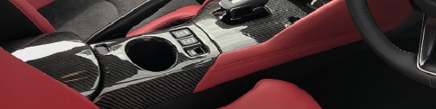 RSW Carbon Interior Panels